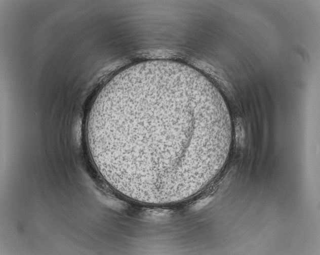 X0000110950206200907171635