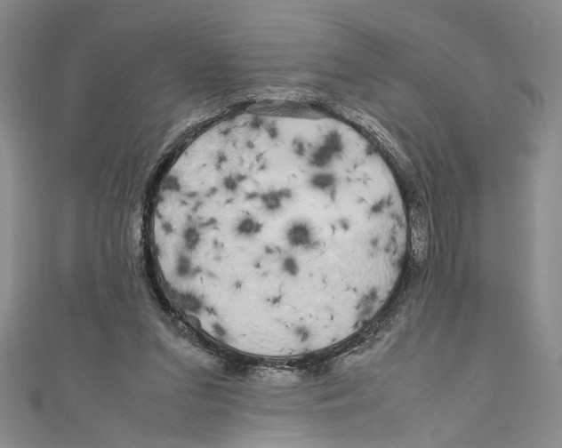 X0000110950207200907171635