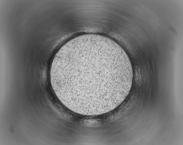 X0000110950208200907171635