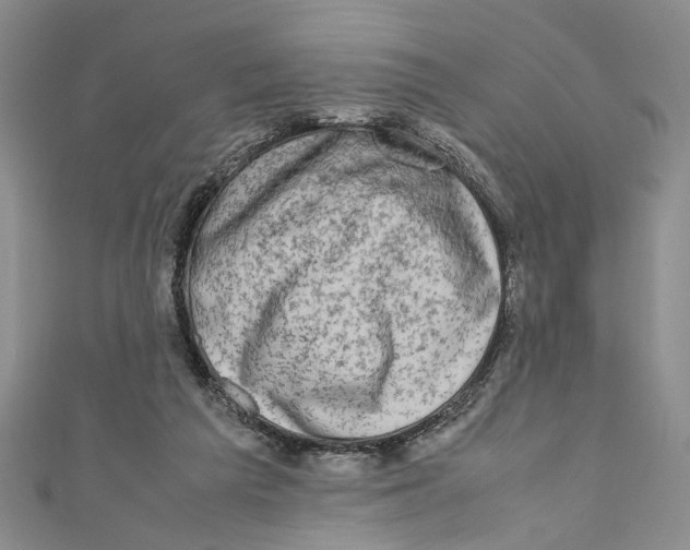 X0000110950209200907171635