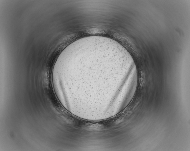 X0000110950210200907171635