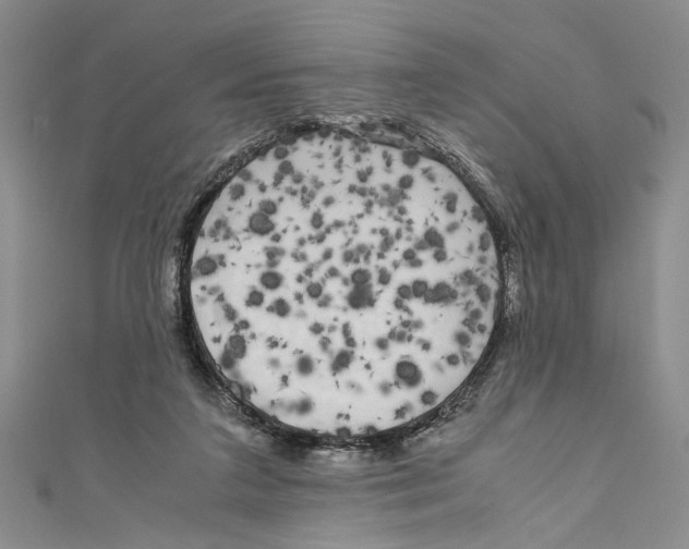X0000110950211200907171635
