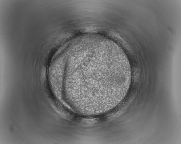 X0000110950213200907171635