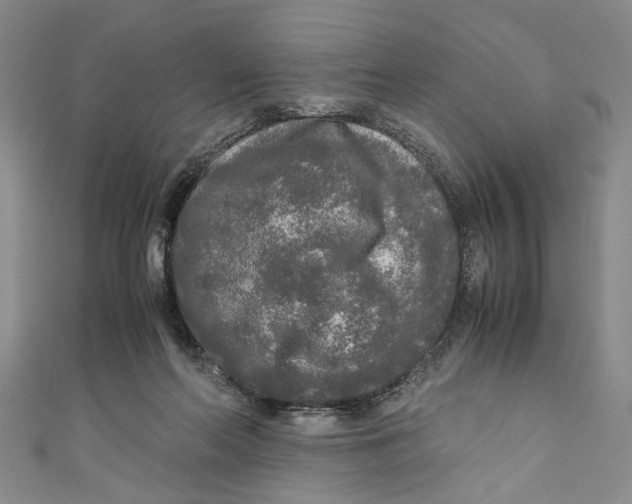 X0000110950214200907171635