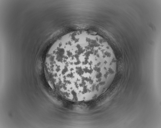 X0000110950215200907171635