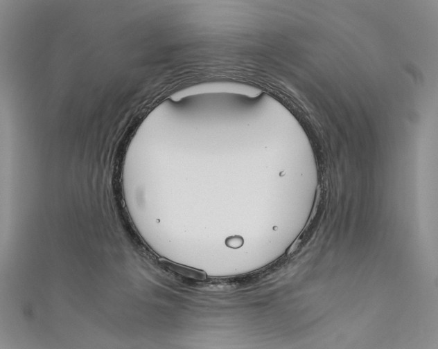 X0000110950217200907171635