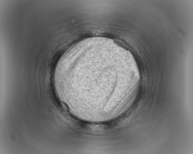 X0000110950221200907171635