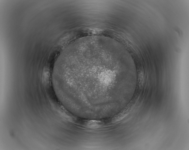 X0000110950222200907171635