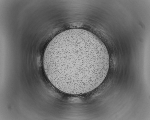 X0000110950224200907171635