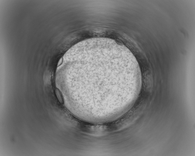 X0000110950225200907171635