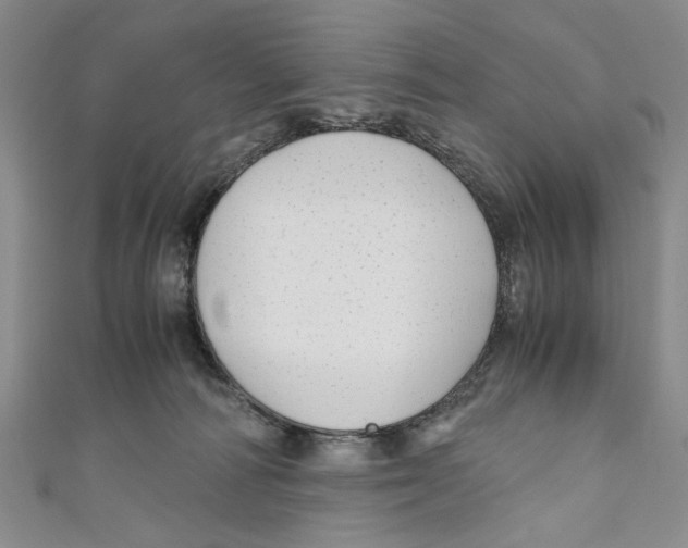 X0000110950226200907171635