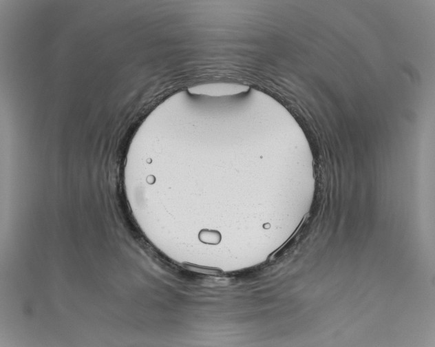 X0000110950227200907171635