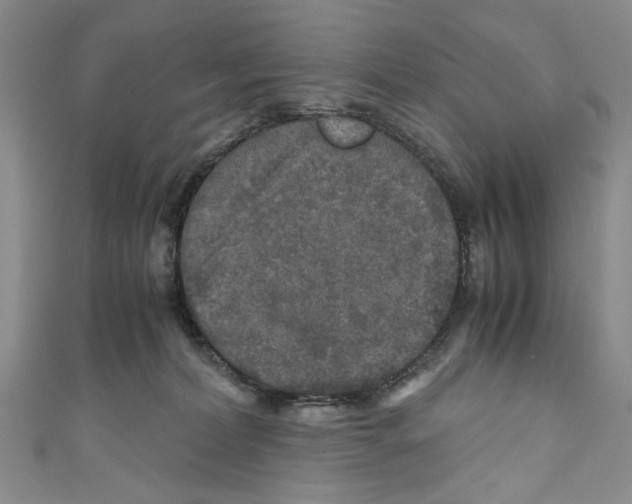 X0000110950228200907171635