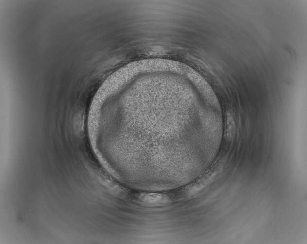 X0000110950230200907171635