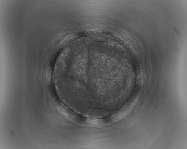 X0000110950231200907171635