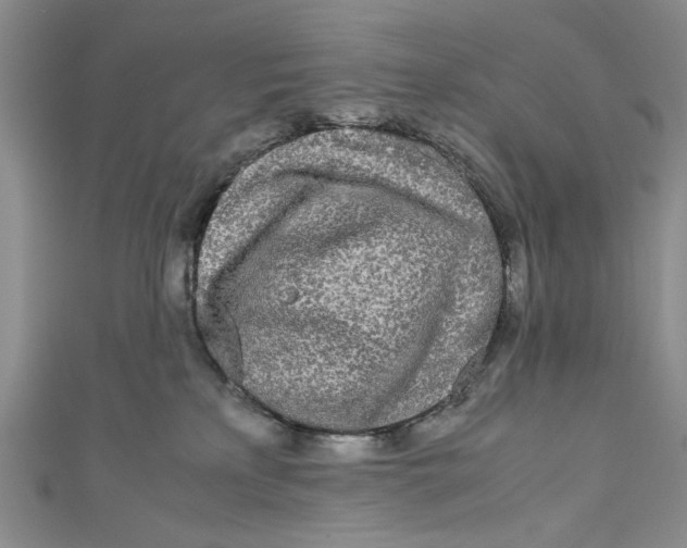 X0000110950233200907171635