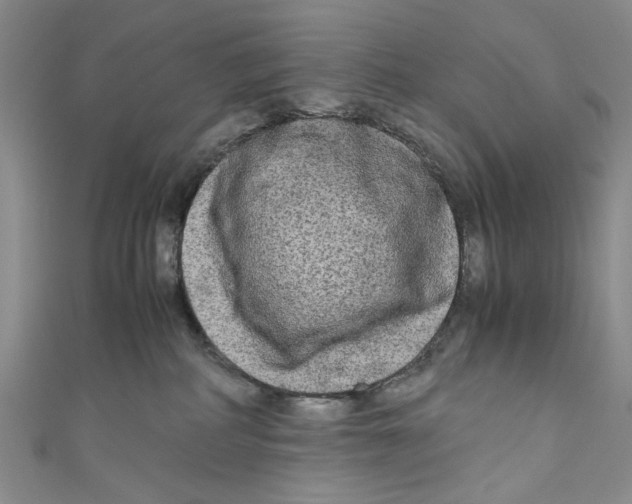 X0000110950234200907171635