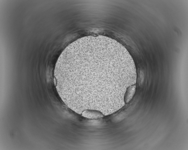 X0000110950236200907171635