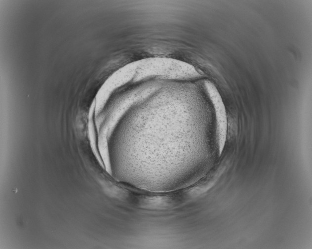 X0000110950237200907171635