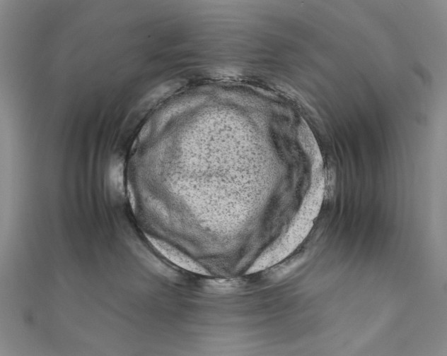 X0000110950238200907171635