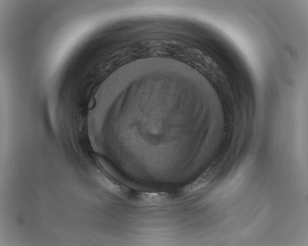 X0000110950239200907171635