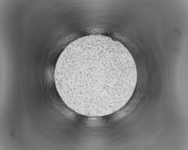 X0000110950240200907171635