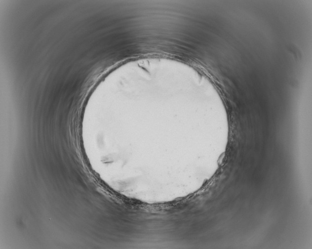 X0000110950241200907171634