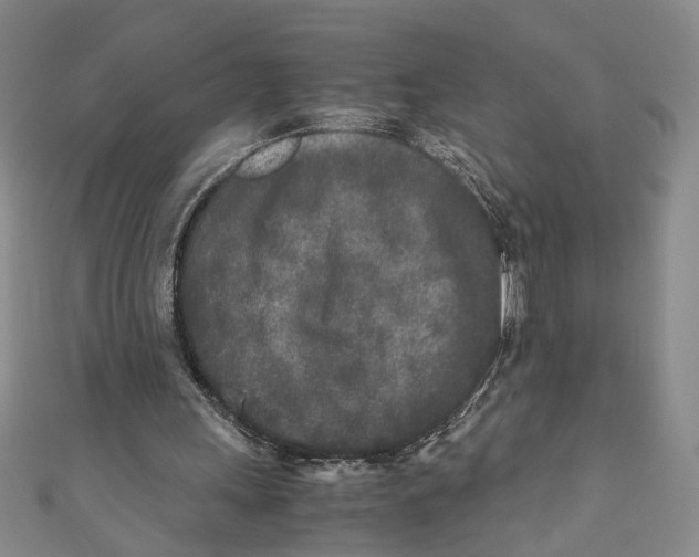 X0000110950243200907171634