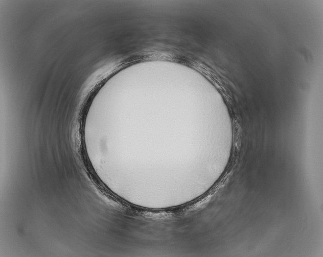 X0000110950245200907171634