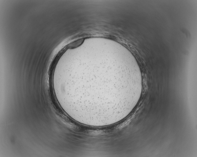 X0000110950246200907171634