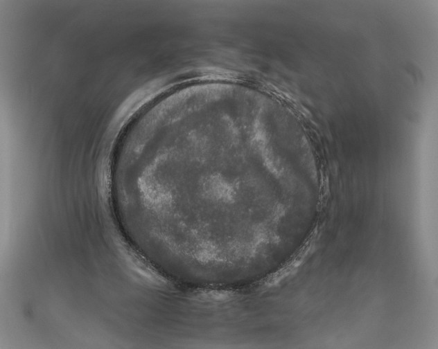 X0000110950247200907171634