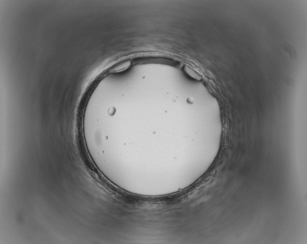 X0000110950248200907171634