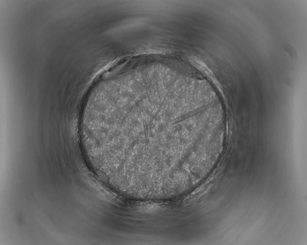 X0000110950249200907171634