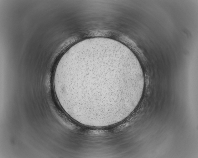 X0000110950250200907171634