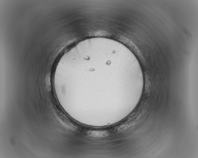 X0000110950251200907171634