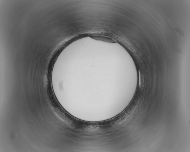 X0000110950252200907171634