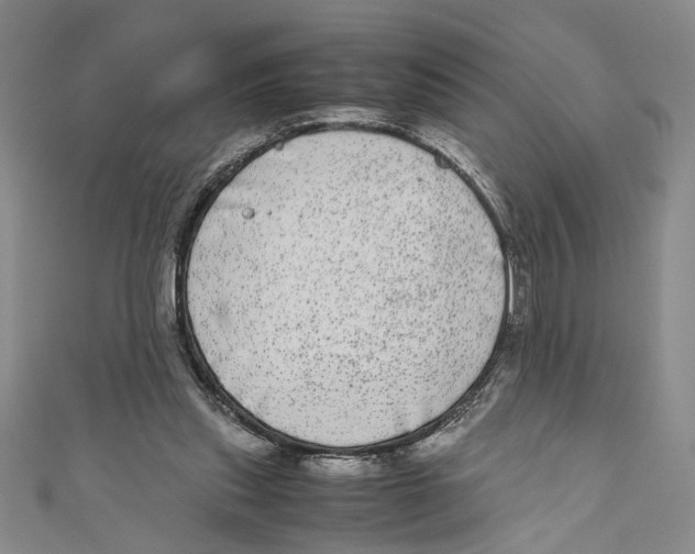 X0000110950253200907171634