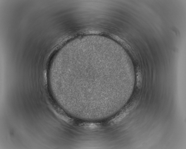 X0000110950254200907171634
