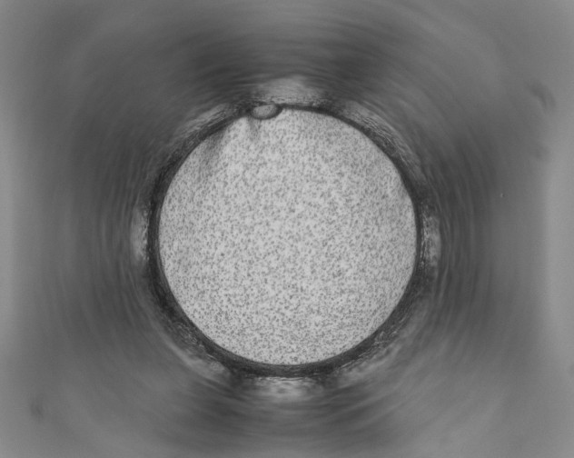 X0000110950255200907171634