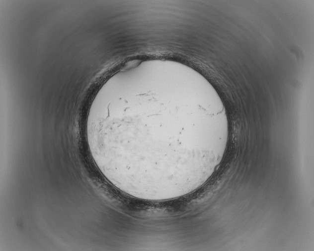 X0000110950256200907171634