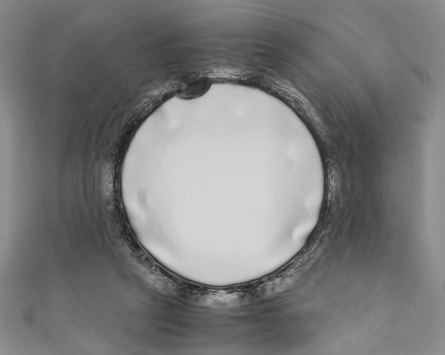 X0000110950257200907171634