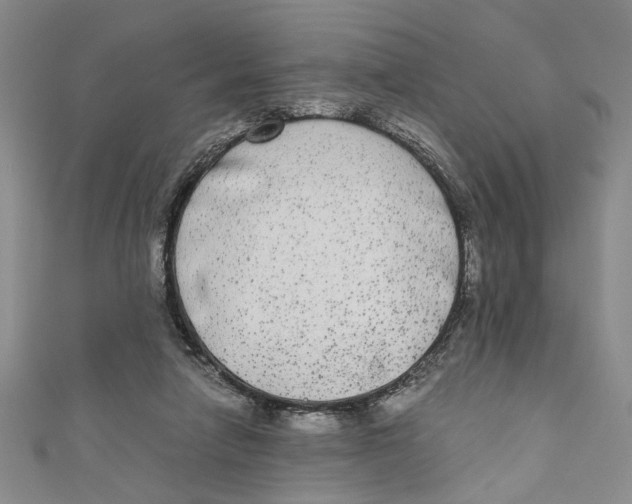 X0000110950258200907171634