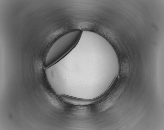 X0000110950260200907171634