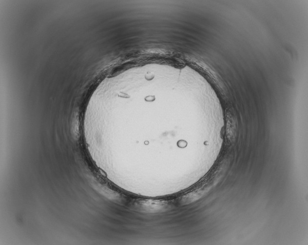 X0000110950261200907171634