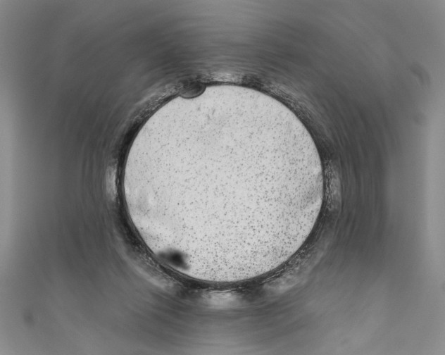 X0000110950262200907171635