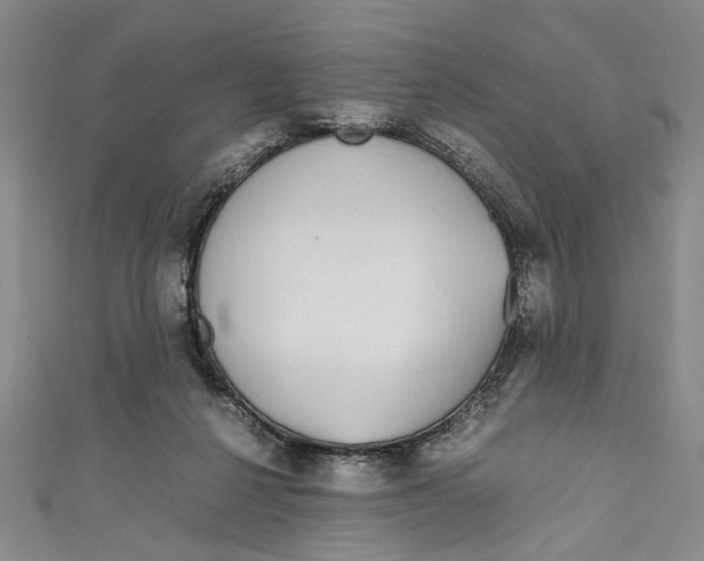 X0000110950264200907171635