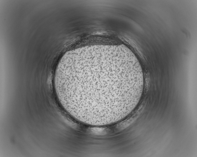 X0000110950265200907171635