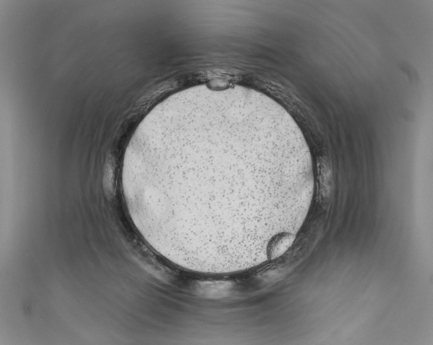 X0000110950266200907171635
