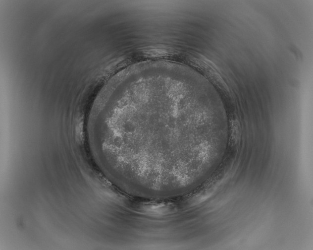X0000110950267200907171635