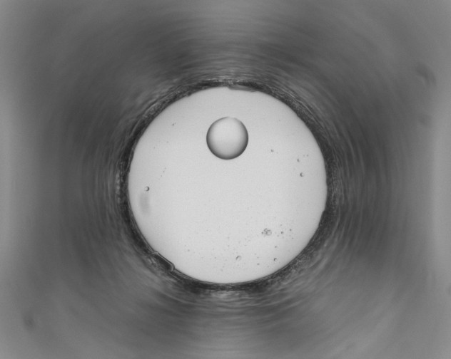 X0000110950268200907171635